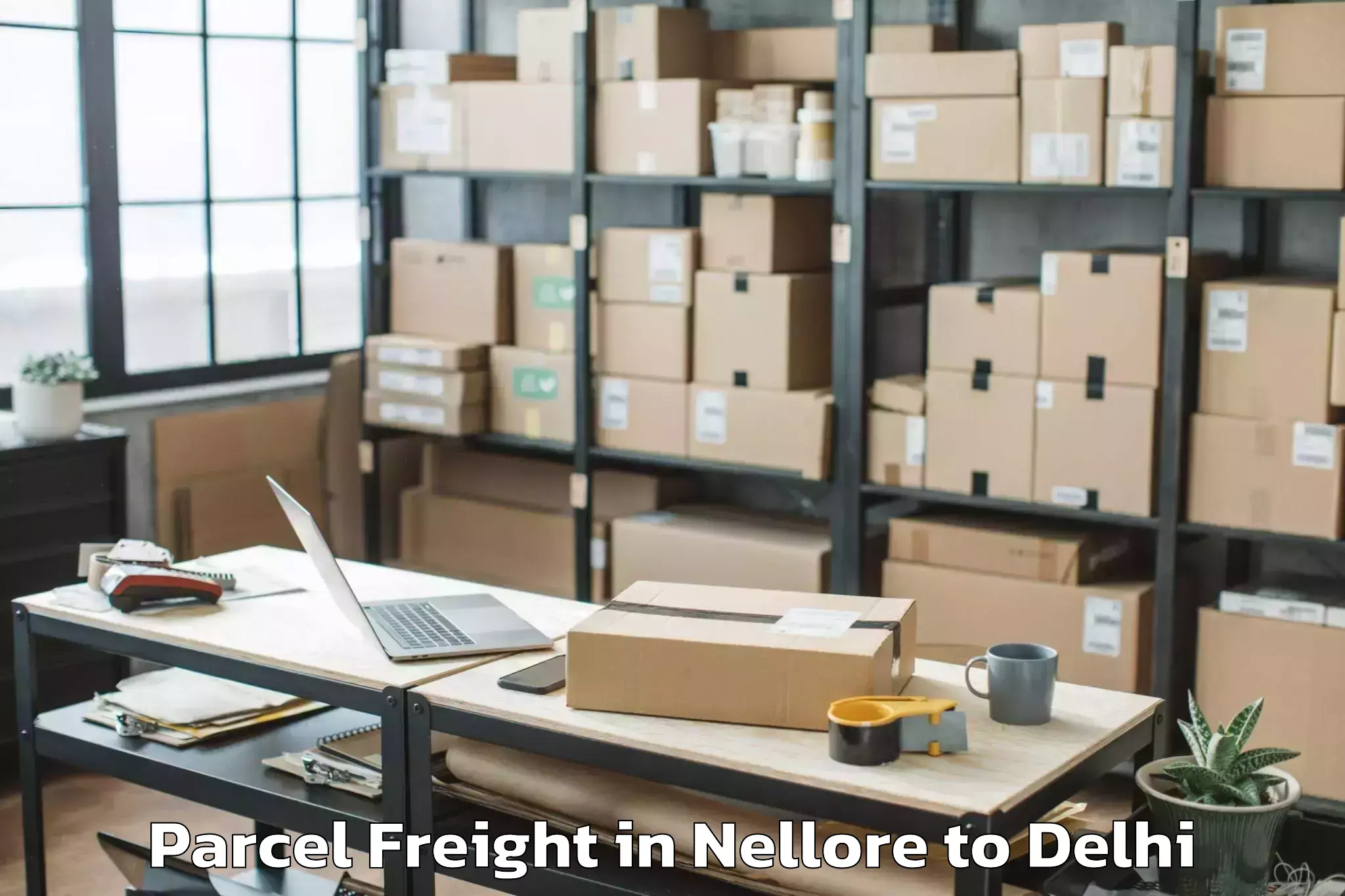 Easy Nellore to D Mall Rohini Parcel Freight Booking